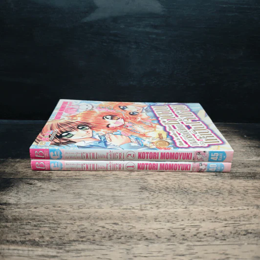 กลวิธีเปลี่ยนซาตานให้เป็นเจ้าชาย 2 เล่มจบ - Kotori Momoyuki รูปที่ 3