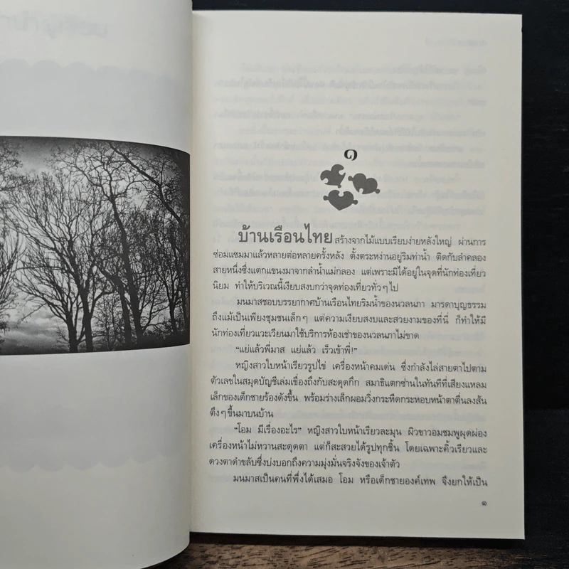 โอบรักใต้เงาจันทร์ - ทักษิณา รูปที่ 7