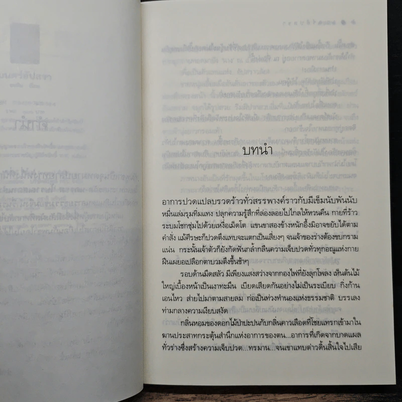 มนตร์อัปสรา - อรพิม รูปที่ 7