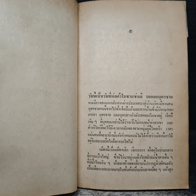 เมียหลวง The First Wife - เพิร์ล เอส. บั๊ก รูปที่ 9