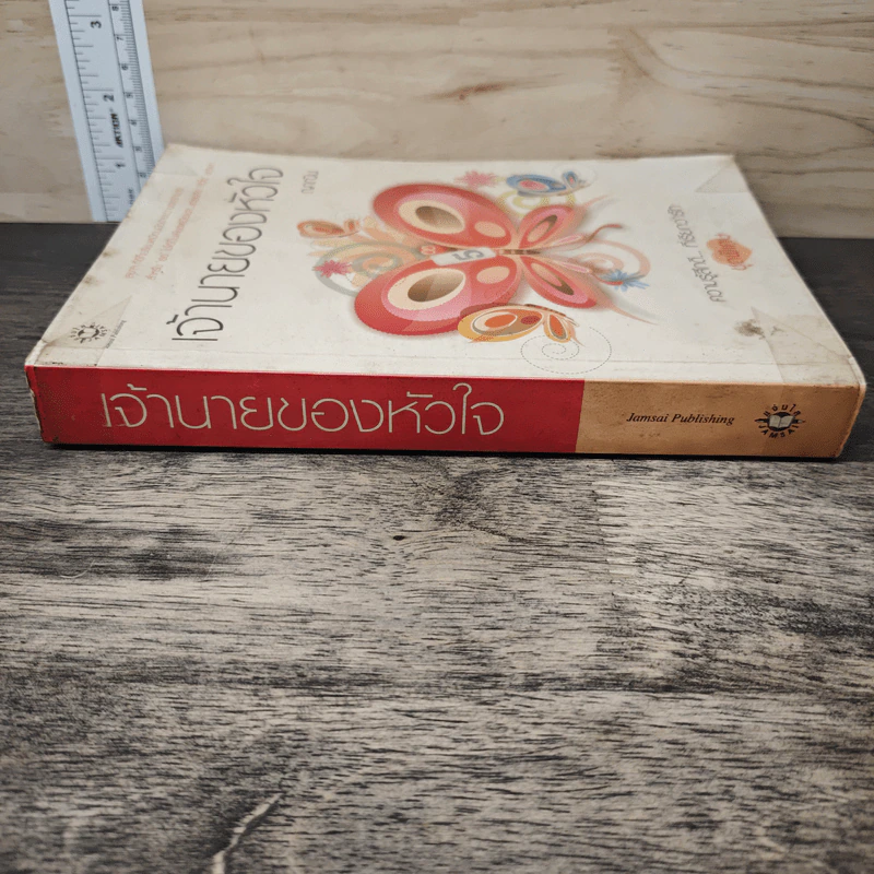 เจ้านายของหัวใจ - ญาณิน รูปที่ 2