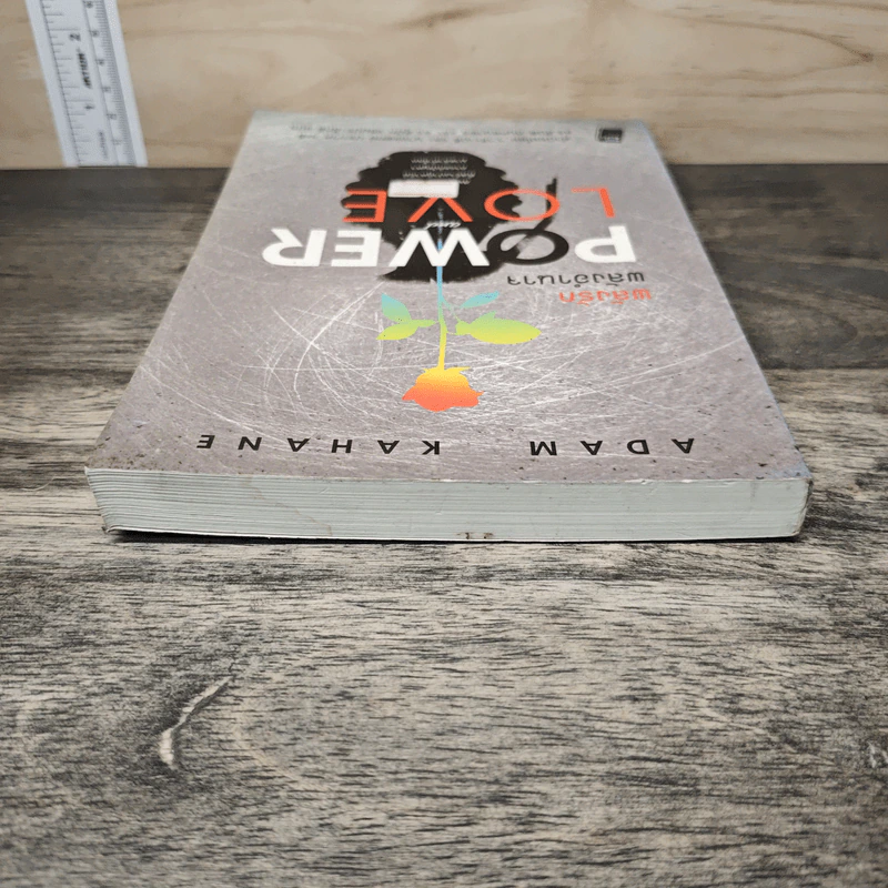 Power and Love พลังรัก พลังอำนาจ - อดัม คาเฮน รูปที่ 4
