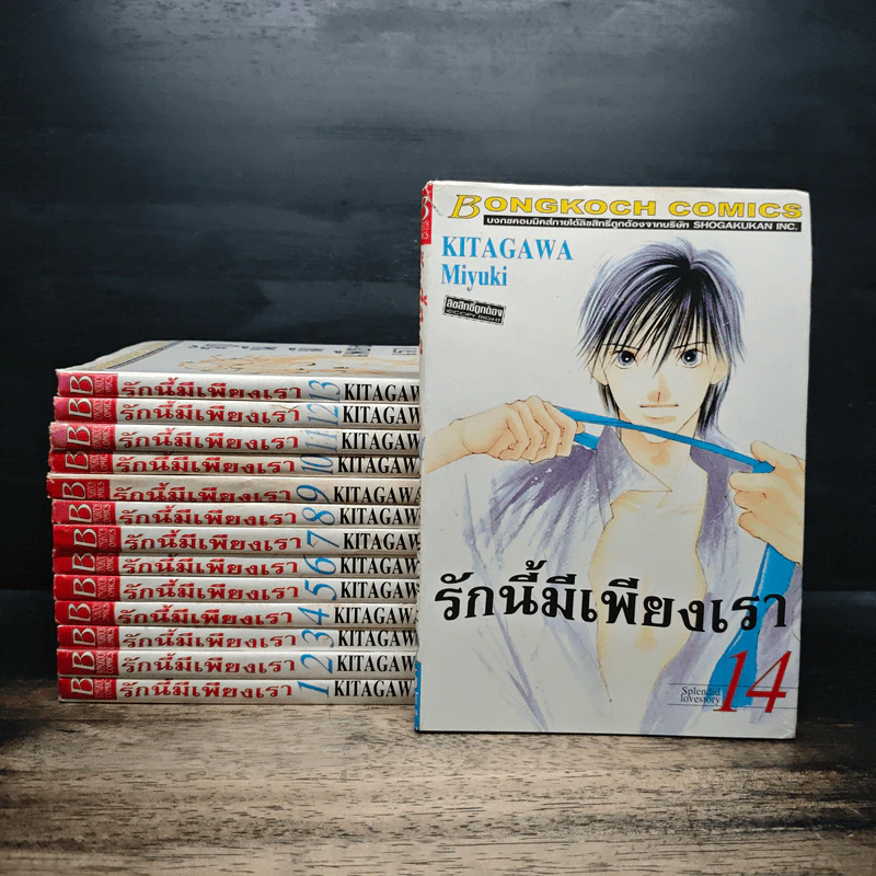 รักนี้มีเพียงเรา เล่ม 1-14 - Kitagawa Miyuki รูปที่ 1