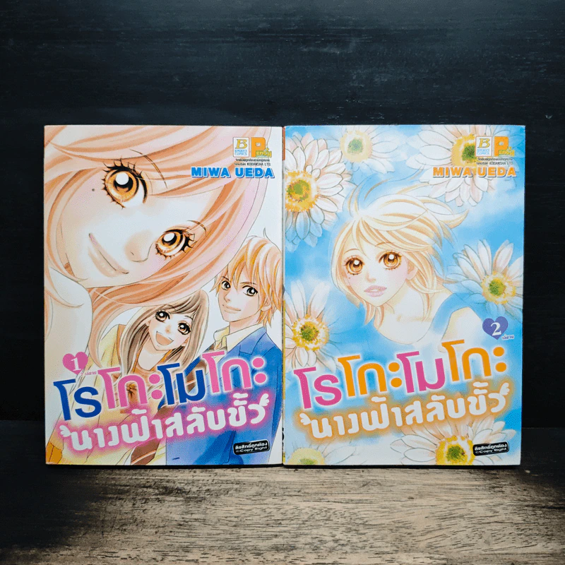 โรโกะโมโกะ นางฟ้าสลับขั้ว 2 เล่มจบ รูปที่ 1