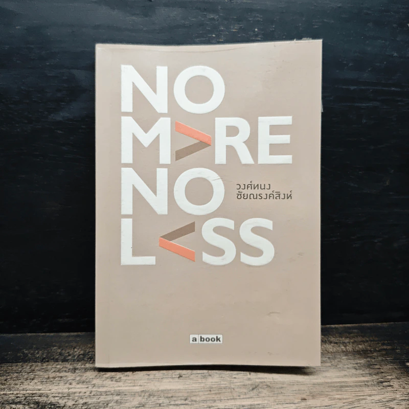 No More No Less - วงศ์ทนง ชัยณรงค์สิงห์ รูปที่ 1