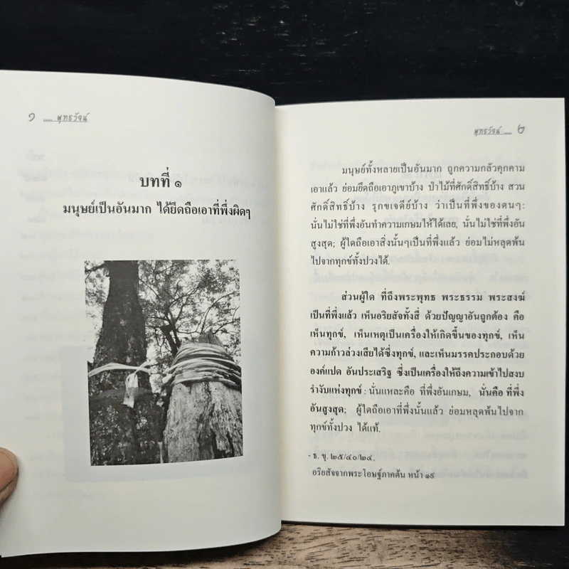 พุทธวัจน์ ฉบับก้าวย่าง อย่างพุทธะ รูปที่ 8