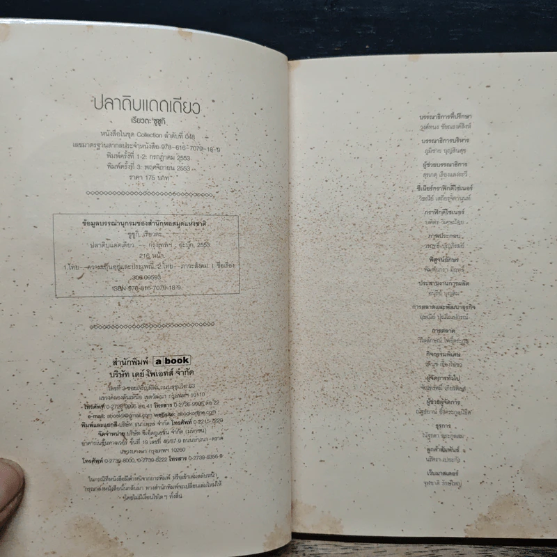 ปลาดิบแดดเดียว - เรียวตะ ซูซูกิ รูปที่ 6