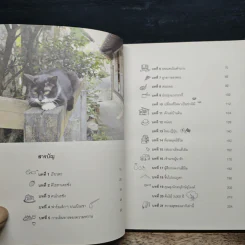 ทำอะไรเล็กๆ ง่ายๆ ก็มีความสุขได้ - วงศ์ทนง ชัยณรงค์สิงห์ รูปที่ 7