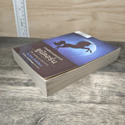 การเดินทางของเหล่ายูนิคอร์น The Journey of UNICORNS - วิลาส ฉ่ำเลิศวัฒน์ รูปที่ 3