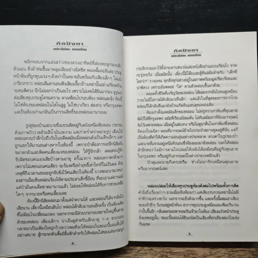 กัลปังหา - พนมเทียน รูปที่ 8