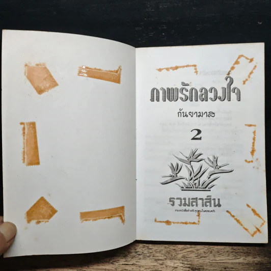 ภาพรักลวงใจ เล่ม 2 - กันยามาส รูปที่ 6