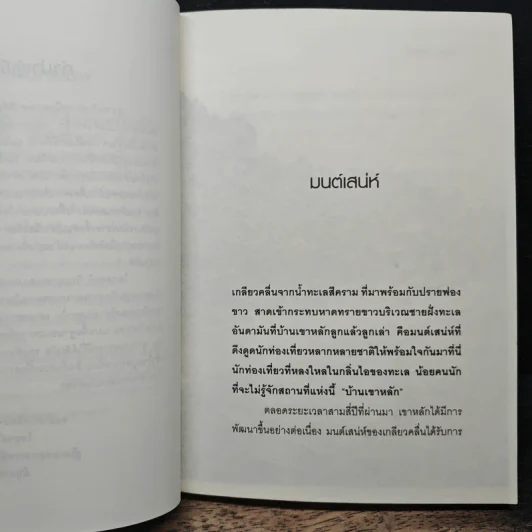 ผี...สึนามิ - ไพฑูรย์ ยอดรัก รูปที่ 7
