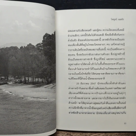ผี...สึนามิ - ไพฑูรย์ ยอดรัก รูปที่ 8