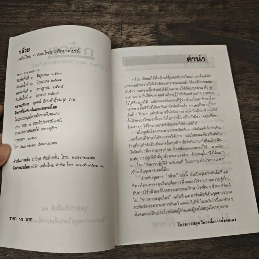กล้วย ผลไม้ไทยๆสมุนไพรสารพัดประโยชน์ รูปที่ 6