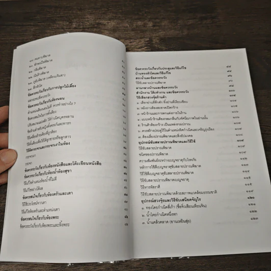 อุปกรณ์ฮวงจุ้ย นำโชคและวิธีขับเสนียดจัญไร - ซินแส เซียว หยู่เสียง รูปที่ 8