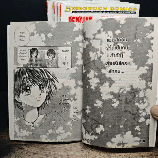 Penguin Brothers 5 เล่มจบ - Ayumi Shiina รูปที่ 8