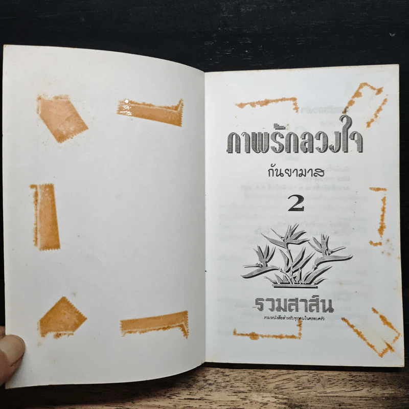 ภาพรักลวงใจ เล่ม 2 - กันยามาส รูปที่ 6