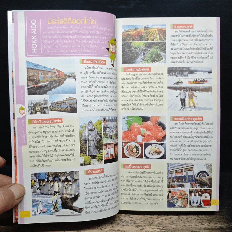 Hokkaido ฮอกไกโด คู่มือเที่ยวตามใจชอบ รูปที่ 12