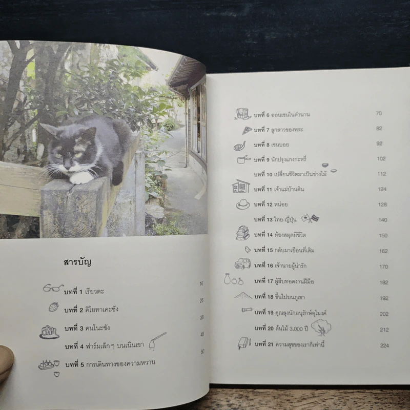 ทำอะไรเล็กๆ ง่ายๆ ก็มีความสุขได้ - วงศ์ทนง ชัยณรงค์สิงห์ รูปที่ 7