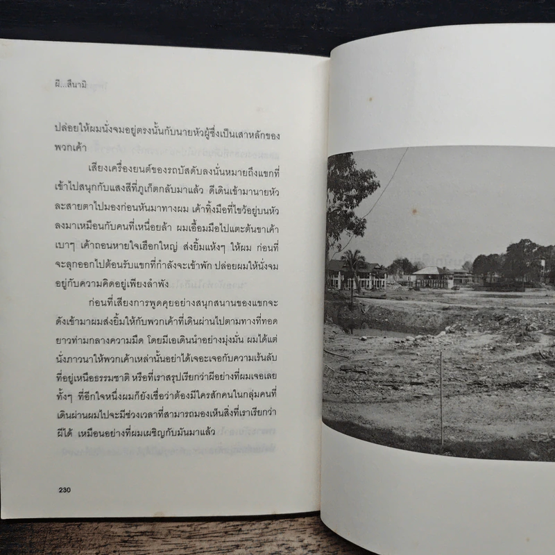 ผี...สึนามิ - ไพฑูรย์ ยอดรัก รูปที่ 9