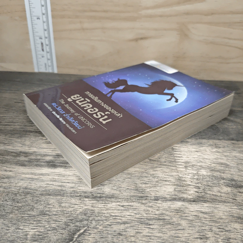 การเดินทางของเหล่ายูนิคอร์น The Journey of UNICORNS - วิลาส ฉ่ำเลิศวัฒน์ รูปที่ 3