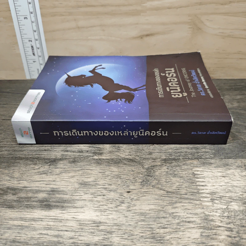 การเดินทางของเหล่ายูนิคอร์น The Journey of UNICORNS - วิลาส ฉ่ำเลิศวัฒน์ รูปที่ 2