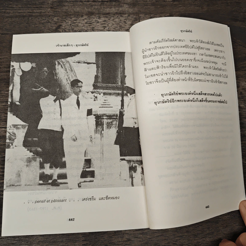 เจ้านายเล็กๆ ยุวกษัตริย์ - กัลยาณิวัฒนา รูปที่ 9
