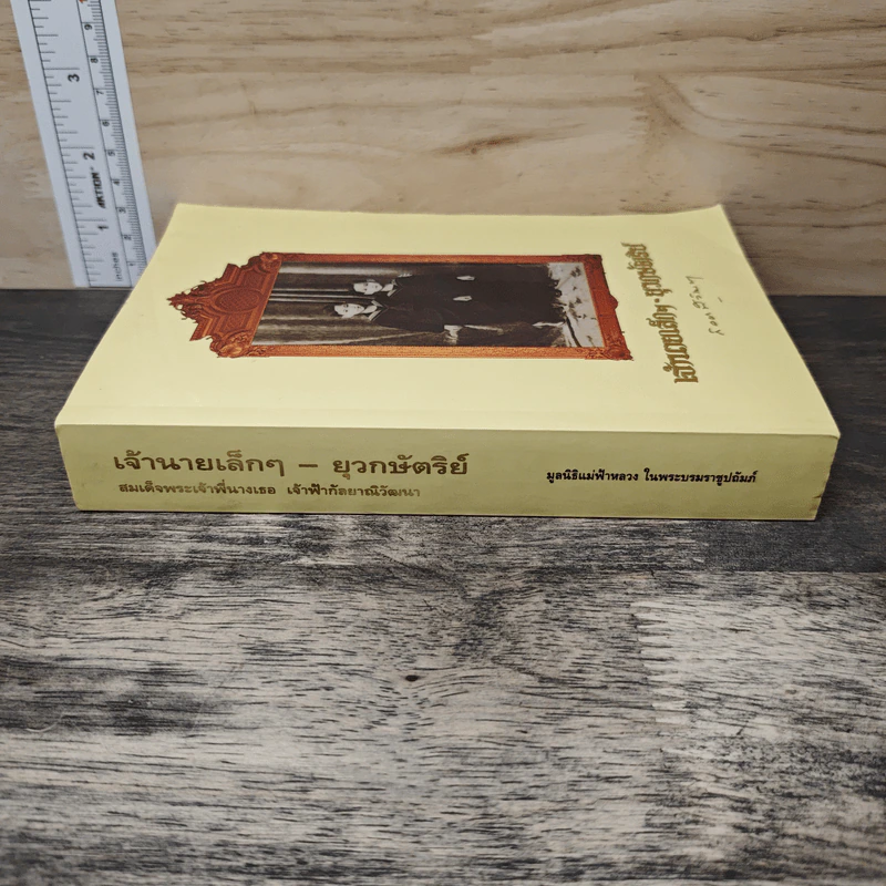 เจ้านายเล็กๆ ยุวกษัตริย์ - กัลยาณิวัฒนา รูปที่ 2