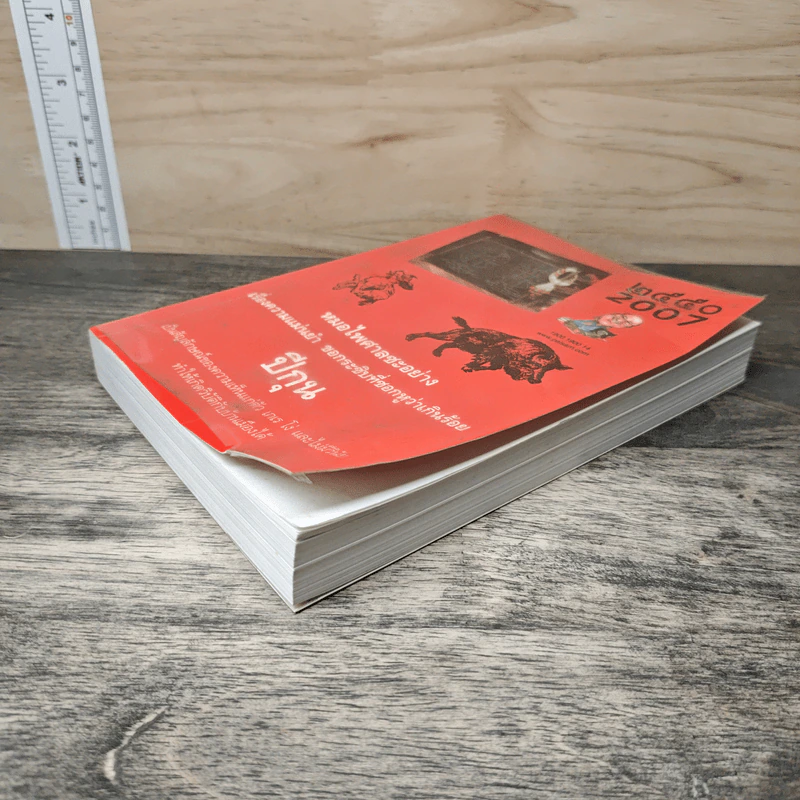 ปีกุน 2550 - หมอไพศาล รูปที่ 3