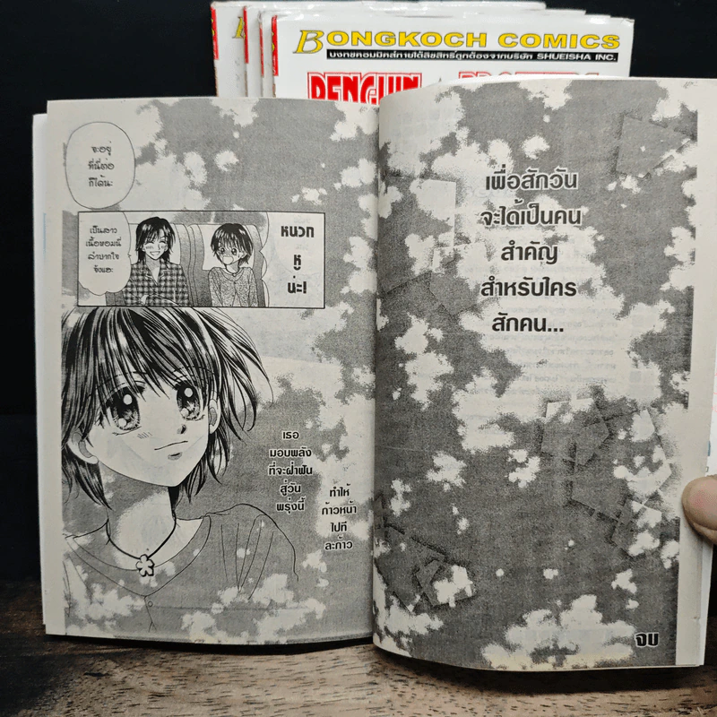 Penguin Brothers 5 เล่มจบ - Ayumi Shiina รูปที่ 8