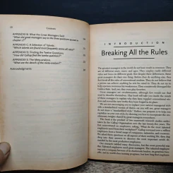 First, Break All the Rules: What the World's Greatest Managers Do Differently - Marcus Buckingham, Curt Coffman รูปที่ 9