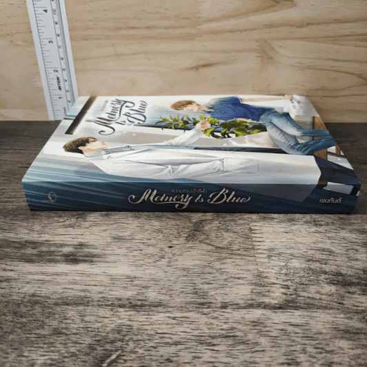 Memory Is Blue ความทรงจำสีฟ้า - เขมกันต์ รูปที่ 2