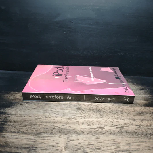 iPod, Therefore I Am รูปที่ 3