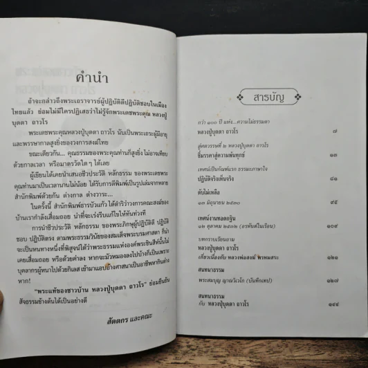 พระแท้ของชาวบ้าน หลวงปู่บุดดา ถาวโร - สัตตกร รูปที่ 7