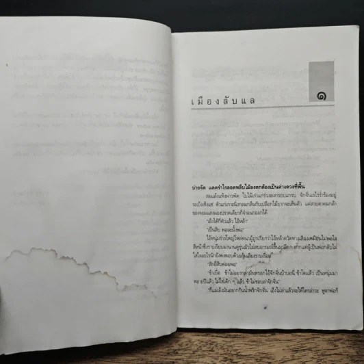 เมืองลับแล - มาลา คำจันทร์ รูปที่ 8