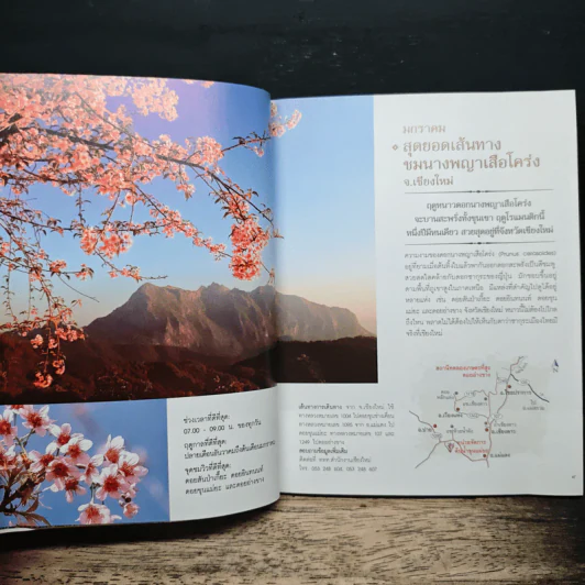 12 เดือน 7 ดาว 9 ตะวัน มหัศจรรย์เมืองไทยต้องไปสัมผัส รูปที่ 8