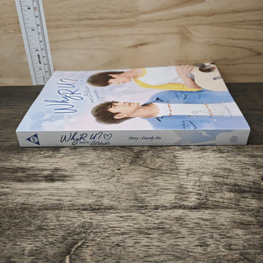 WHY R U ? เพราะรักใช่เปล่า - Candy On รูปที่ 2