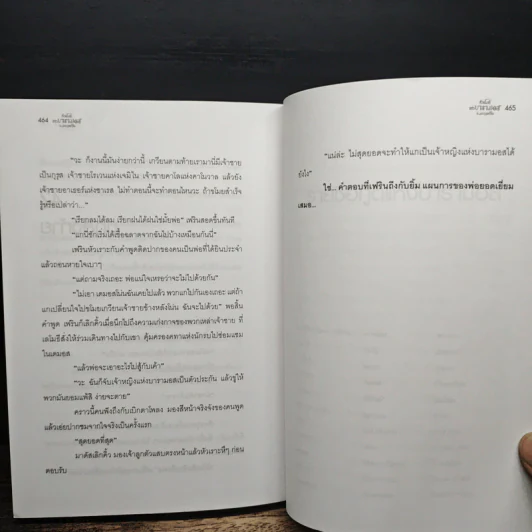 หัวขโมยแห่งบารามอส เล่ม 7 กับมงกุฎแห่งใจ - แรบบิท Rabbit รูปที่ 9
