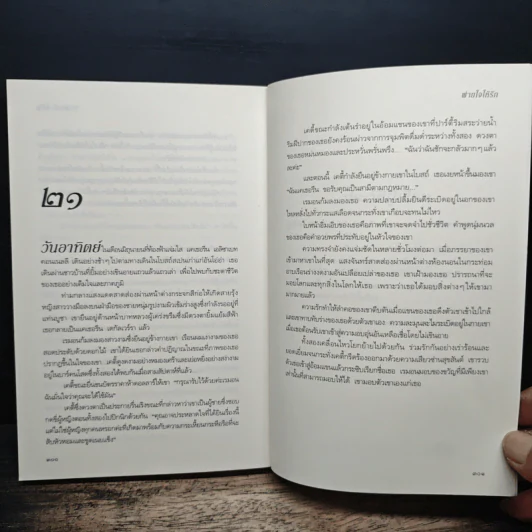 พ่ายใจให้รัก - จูดิธ แมคนอธ, กนกกาญจน์ เวชชวิศิษฎ์ รูปที่ 8