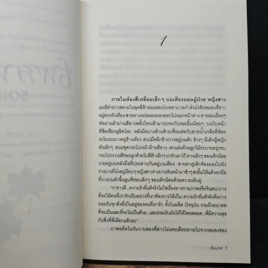 เพลงรักรอยเสน่หา - ฮันนาห์ รูปที่ 7