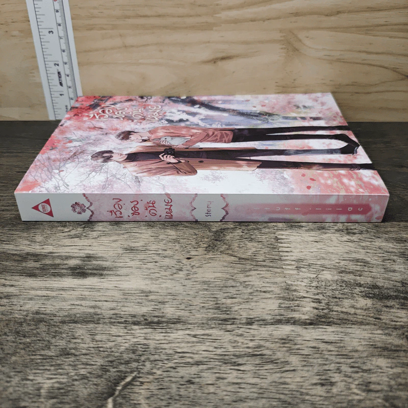 เรื่องของต้นเหมย - Stuff.lilac รูปที่ 2