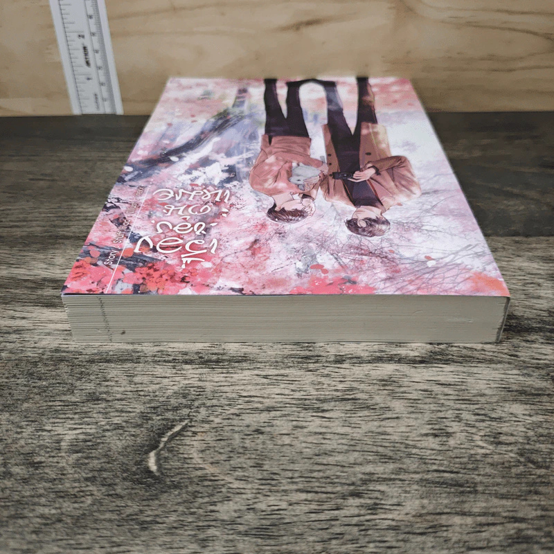 เรื่องของต้นเหมย - Stuff.lilac รูปที่ 4