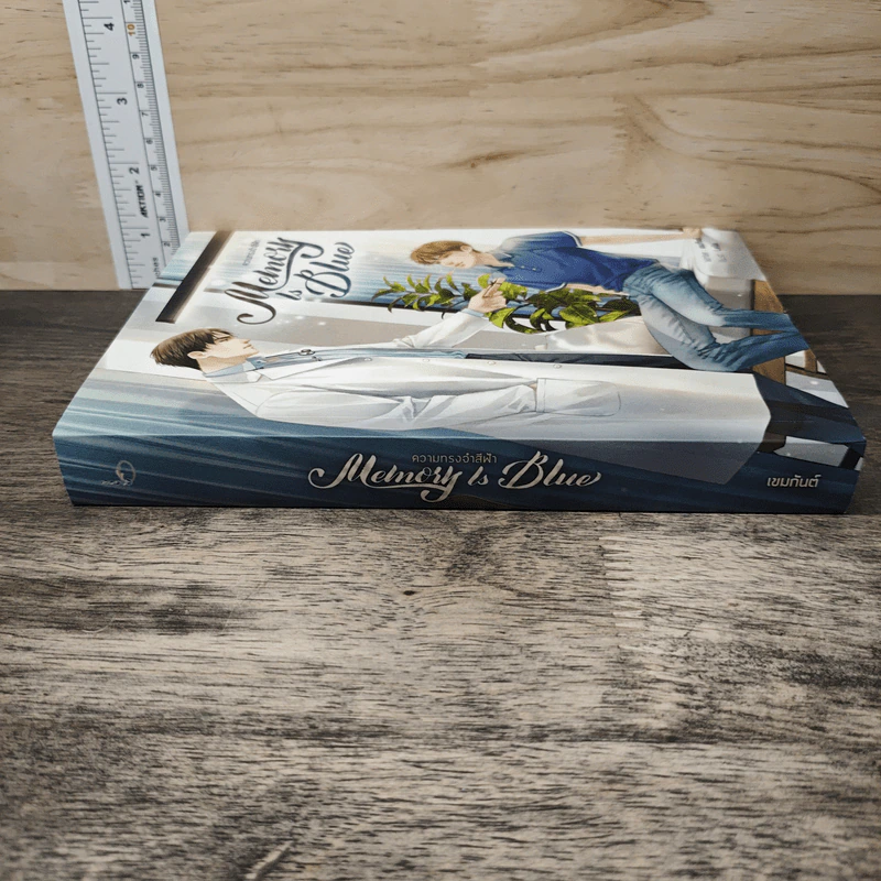 Memory Is Blue ความทรงจำสีฟ้า - เขมกันต์ รูปที่ 2