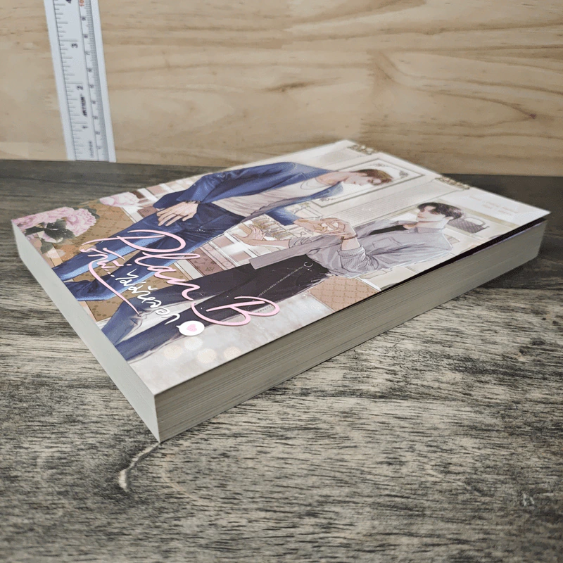 Plan B รักพี่...ไม่มีหลอก - Pillow Mellow รูปที่ 3