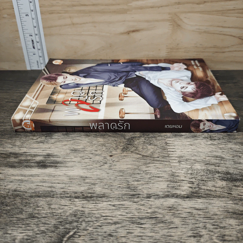 พลาดรัก - เตยหอม รูปที่ 2
