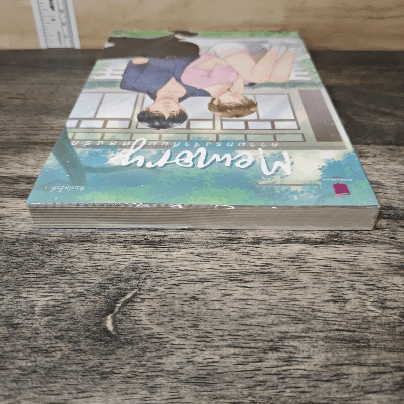 Memory ความทรงจำที่ผมหลงรัก - พราวแสงเดือน รูปที่ 4