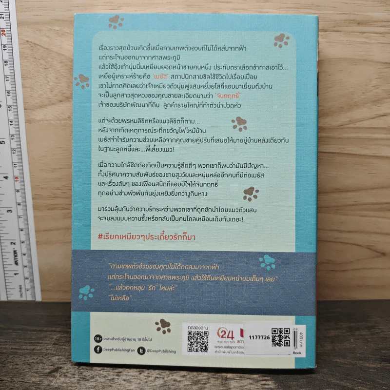 เรียกเหมียวๆ ประเดี๋ยว 'รัก' ก็มา - BELLE รูปที่ 5
