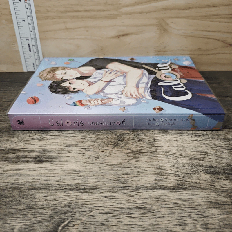 Calorie ผมแค่มารอลี่ - Gloomy Sunday รูปที่ 2