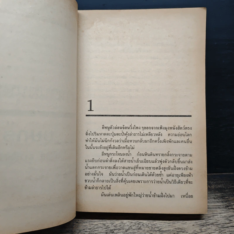 ตำนานมนุษย์ถ้ำ The Clan of the Cave Bear - Jean M. Auel รูปที่ 8