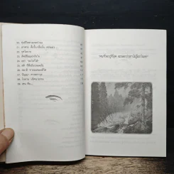 ปล่อยวางอย่างเซน - ละเอียด ศิลาน้อย รูปที่ 8